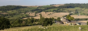 Cotswolds Prints: View over Wadfield farm and Cotswold farmland in summer