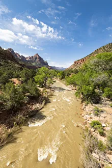 Virgin River Prints: View of the Watchman down the Virgin River, Zion National Park, Utah, United States