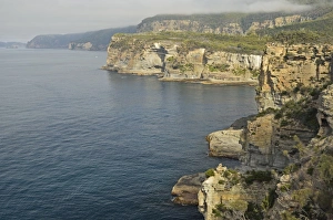 Inlet Prints: View of Waterfall Bay, Tasman Peninsula, Tasmania, Australia, Pacific