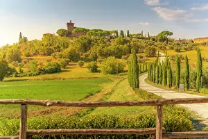 Pienza Prints: View of winding road and cypress trees leading to Palazzo Massaini