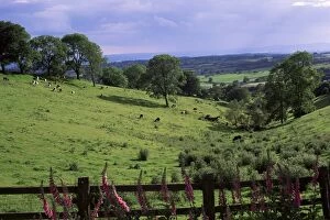 Hereford And Worcester Collection: View from Windmill Hill, Waseley Country Park near Rubery, Chapmans Hill