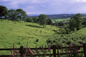 Hereford Worcester Prints: View from Windmill Hill, Waseley Country Park near Rubery, Chapmans Hill