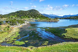 Coastal Landscape Prints: View over Wulaia Bay, Tierra del Fuego, Chile, South America