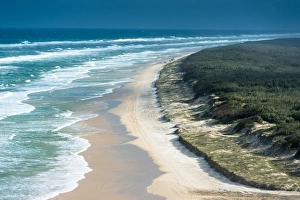 Fraser Island Prints: Views of 100 mile beach from Indian Head, Fraser Island, Queensland, Australia, Pacific
