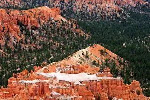 Bryce Prints: Views of Bryce Canyon with rock formations and green trees in the background during daytime in Utah