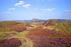 Views over Caradoc, Lawley and the Wrekin from the Long Mynd, Church Stretton Hills Views over Caradoc, Lawley and the Wrekin from the Long Mynd, Church Stretton Hills