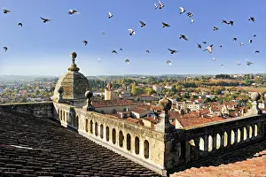 Southwest Prints: Views from the top of the Cathedral in Auch