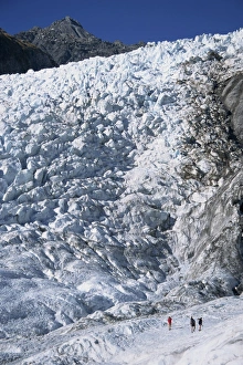 Fox Glacier Prints: Views of the top of Fox Glacier
