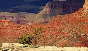 Overlook Prints: Views of the Grand Canyon from the South Rim showcase the park's unique rock formations