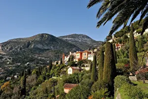 Residence Prints: Views of hillside homes and palm trees in Roquebrune-Cap-Martin on the French Riviera in the afternoon