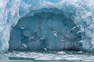 Unspoiled Nature Prints: Views of the Monacobreen (Monaco Glacier)