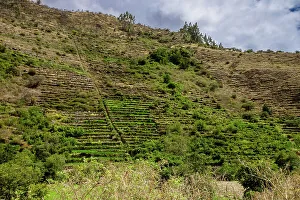 Pastures Prints: Views of Ollantaytambo, Peru, South America