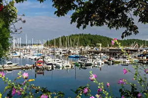 Clear Skies Prints: Views of the small harbor town of Friday Harbor on San Juan Island