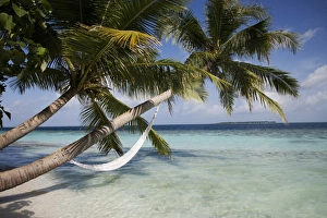 Images Dated 31st October 2007: Vilamendhoo Island, Ari Atoll, Maldives, Indian Ocean, Asia