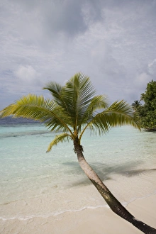 Images Dated 1st November 2007: Vilamendhoo Island, Ari Atoll, Maldives, Indian Ocean, Asia