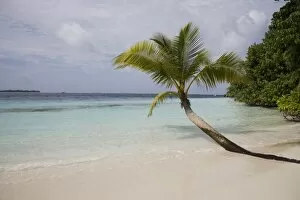 Images Dated 1st November 2007: Vilamendhoo Island, Ari Atoll, Maldives, Indian Ocean, Asia