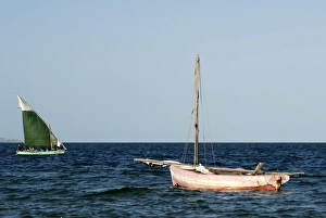 Images Dated 23rd February 2008: Vilanculo Beach, Mozambique, East Africa, Africa