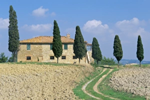 Pienza Prints: Villa with cypress trees