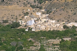 Hill Village Prints: Village of Al Ain