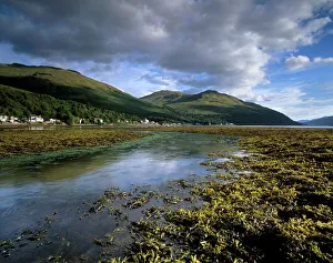 Loch Prints: Village of Arrochar and Loch Long