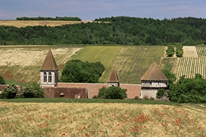 Village of Chitry, Burgundy, France, Europe