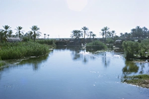 Marshes Prints: Village of the Marsh Arabs