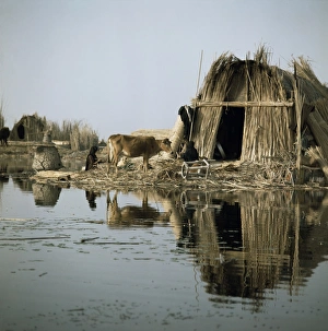Marshes Prints: Village in the Marshes