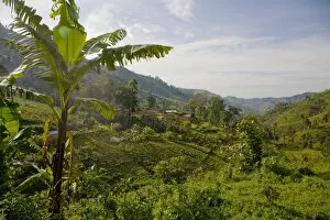 Images Dated 19th March 2008: Village of Masango, Cibitoke Province, Burundi, Africa