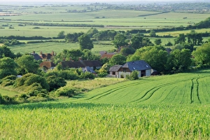 South Downs Prints: Village of Milton Street, in the South Downs, East Sussex, England, UK, Europe