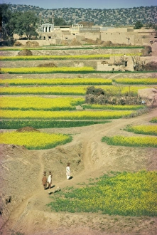 Village near Rawalpindi