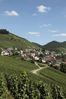 Images Dated 20th August 2010: Village of Ockfen with vineyards, Saar Valley, Rhineland-Palatinate, Germany, Europe