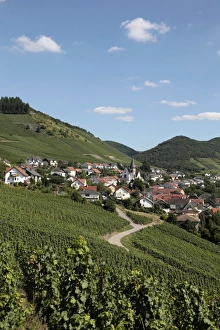 Images Dated 20th August 2010: Village of Ockfen with vineyards, Saar Valley, Rhineland-Palatinate, Germany, Europe