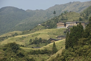 Guilin Prints: Village of Pin Gan, Longsheng terraced ricefields, Guilin, Guangxi Province, China, Asia