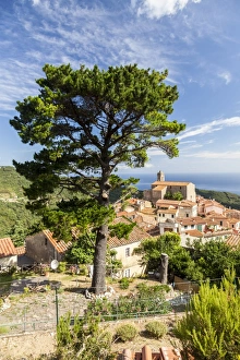 Village of Poggio on the hills of Monte Capanne, Marciana, Elba Island, Livorno Province