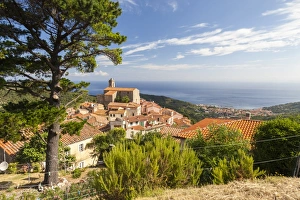 Livorno Province Prints: Village of Poggio on the hills of Monte Capanne, Marciana, Elba Island, Livorno Province