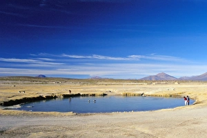 San Juan Prints: Village pond at San Juan, Salar de Uyuni, Bolivia, South America
