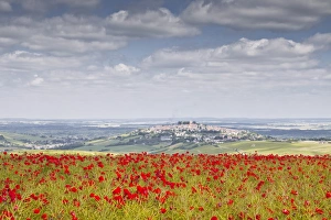 Group Of Objects Prints: The village of Sancerre with a field of poppies in the foreground