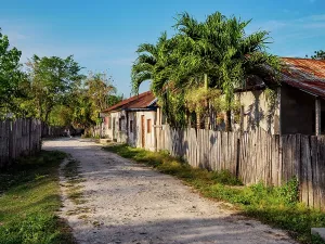 Fence Prints: Village scene in Uaxactun showing the road and houses in bright daylight with palm trees nearby