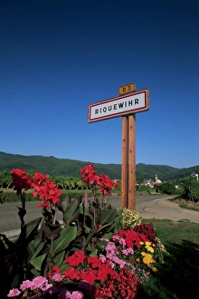 Riquewihr Prints: Village sign and flowers, Riquewihr, Haut-Rhin, Alsace, France, Europe