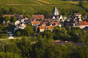 Vine Yard Prints: The village of Sury en Vaux near to the famous vineyards of Sancerre