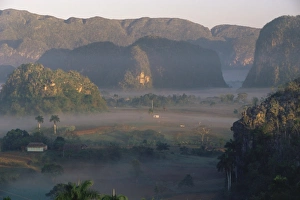 Images Dated 13th February 2008: Vinales, Cuba, West Indies, Central America