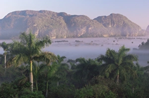 Images Dated 13th February 2008: Vinales, Cuba, West Indies, Central America