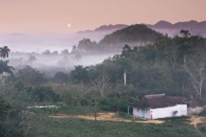 Images Dated 13th February 2008: Vinales, Cuba, West Indies, Central America