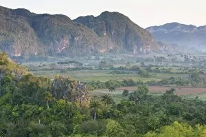 Search Results: The Vinales Valley, UNESCO World Heritage Site, bathed in early morning sunlight