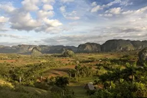 Search Results: Vinales Valley, UNESCO World Heritage Site, bathed in early morning sunlight, Vinales