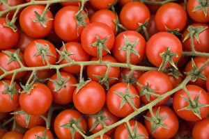 Images Dated 15th January 2000: Vine tomatoes in street market