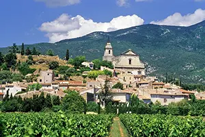Terrace Prints: Vineyard in Bedoin with Mont Ventoux in the Background in Vaucluse