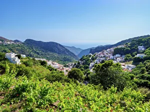 Viniculture Prints: Vineyard and Koronos Village, elevated view