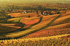 Ortenau Prints: Vineyard landscape and Blumberg village