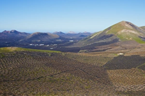 Lava Prints: Vineyard on the lava, Biosphere Reserve, Lanzarote, Canary Islands, Spain, Europe